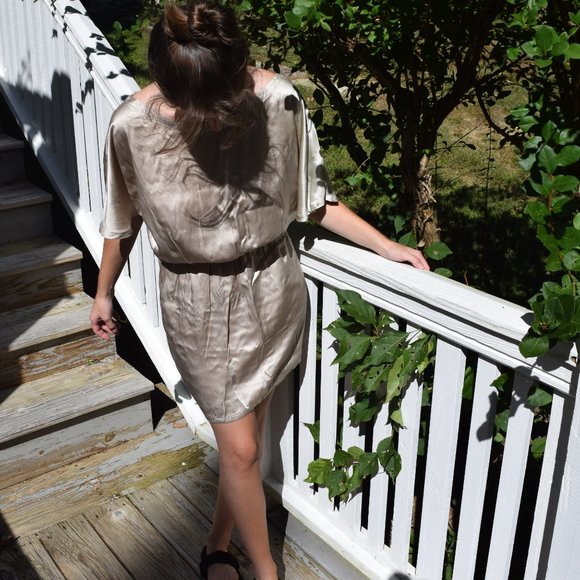 Bill Hallman champagne colored silk dress - Picture 6 of 6